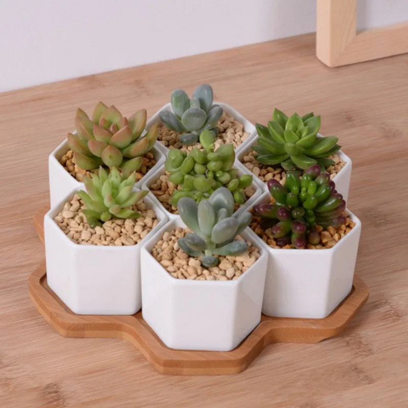 Aloe Vera Pot - Set van 4/7/9/10 Hexagon Bloempotten Witte