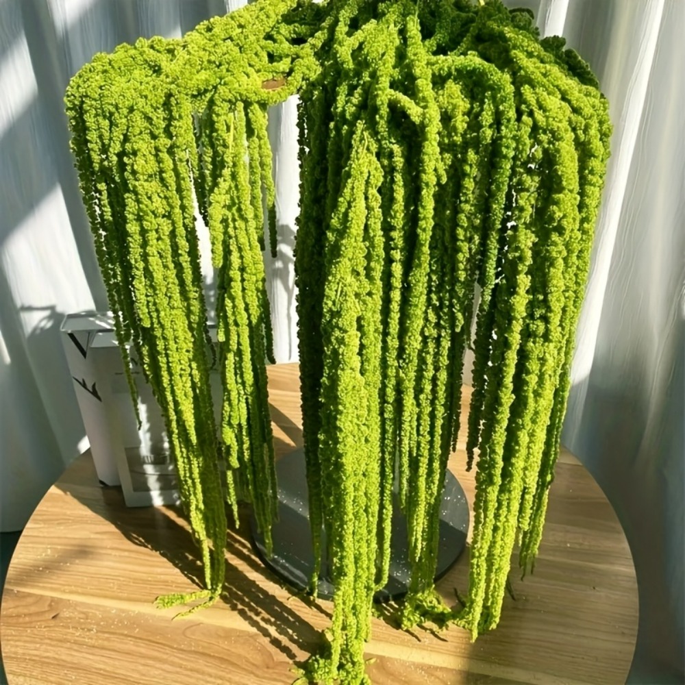 4-delige set kunstmatige amara - Monstera Adansonii recensie en prijs