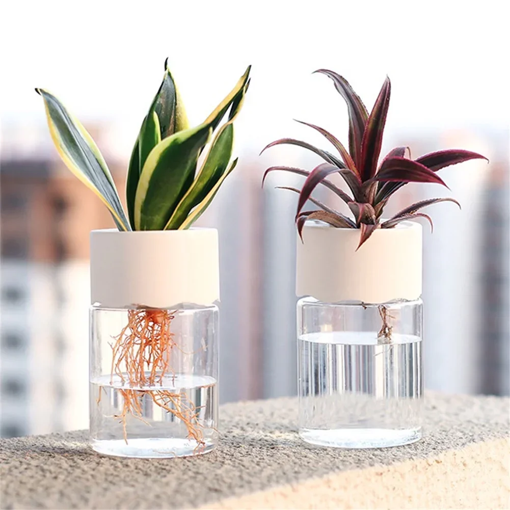 Mini Hydroponische Bloempot Tr - Aloe Vera Pot recensie en prijs