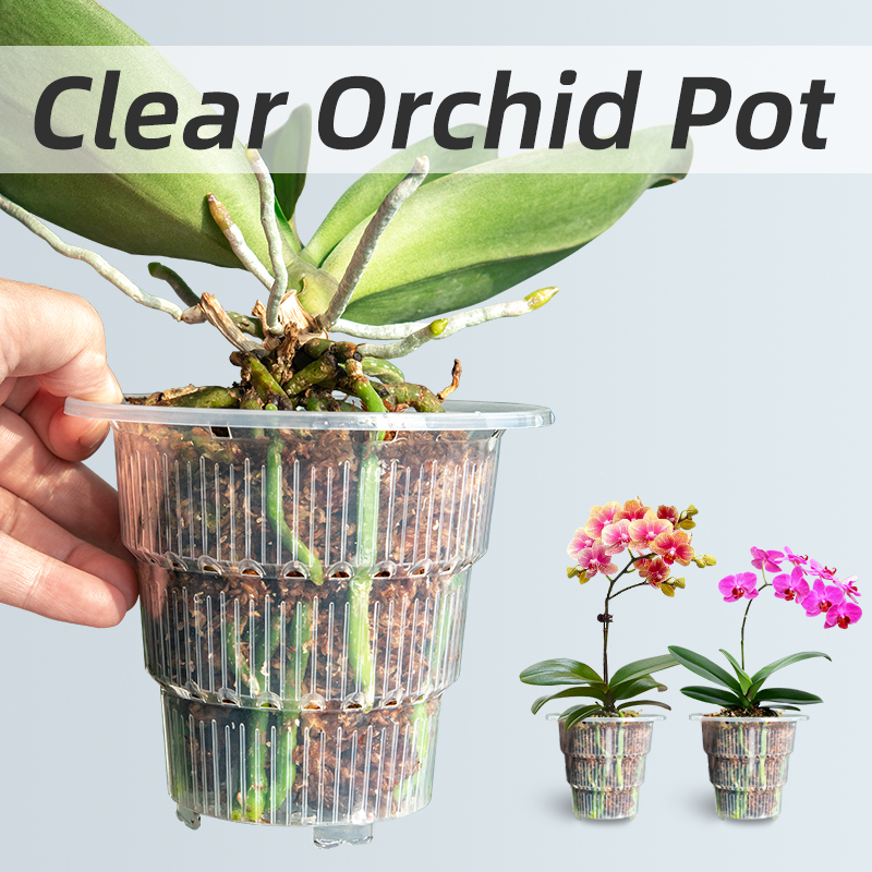 Meshpot Doorzichtige plastic o - Aloe Vera Pot recensie en prijs