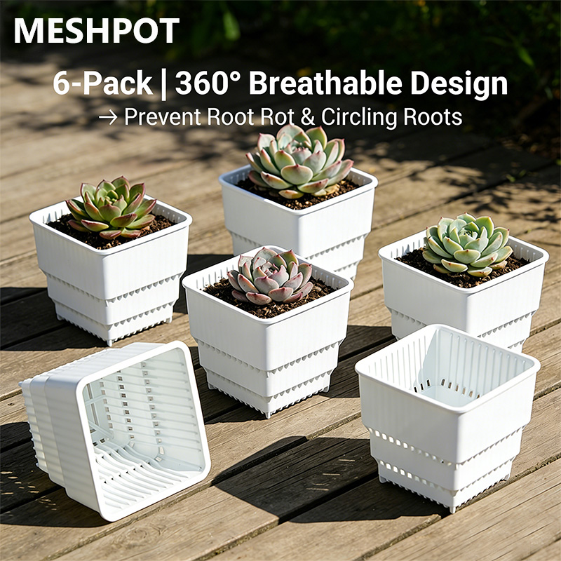 MESHPOT 6-pack vierkante potte - Echeveria Succulent recensie en prijs