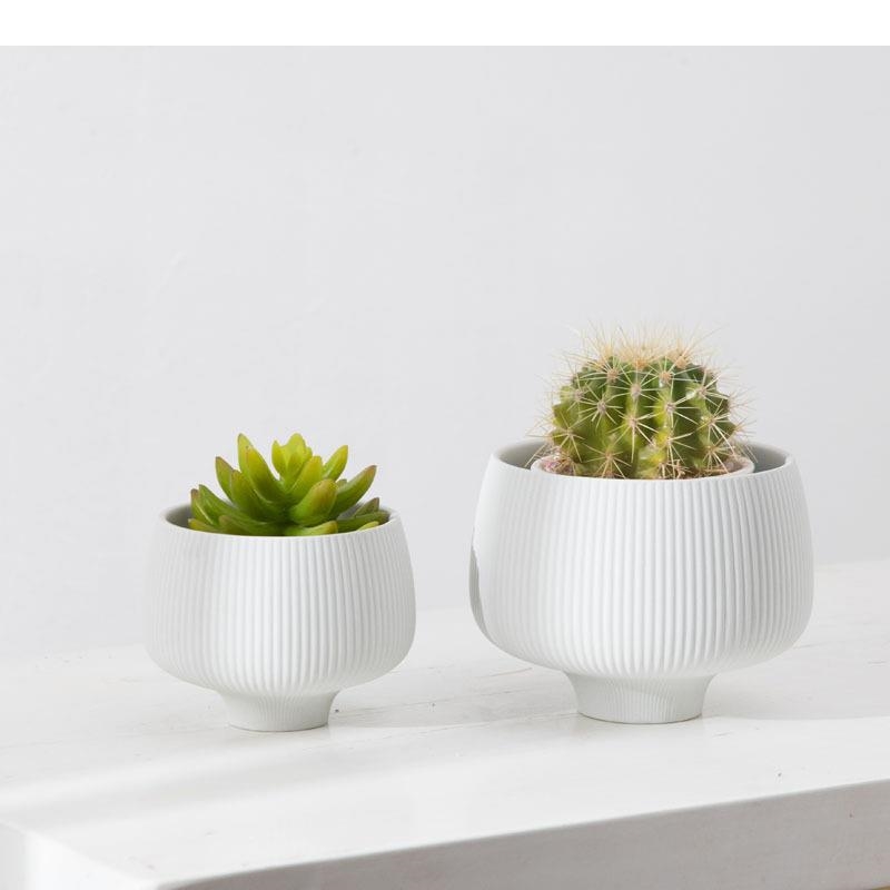 Veelkleurige strepen keramisch - Aloe Vera Pot recensie en prijs
