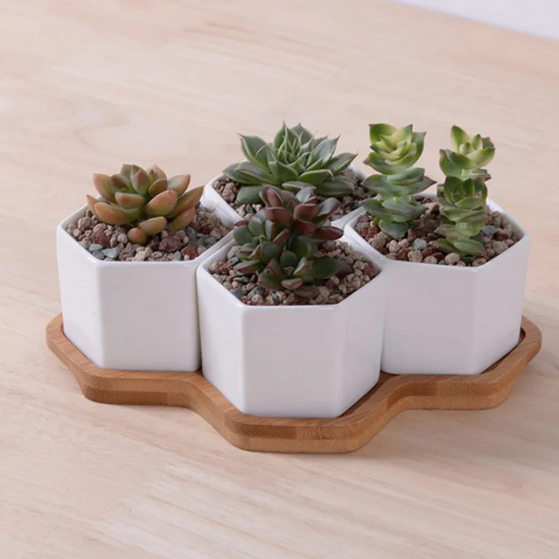 Set van 4/7/9/10 Hexagon Bloem - Aloe Vera Pot recensie en prijs